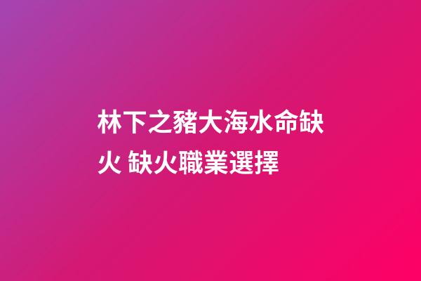 林下之豬大海水命缺火 缺火職業選擇